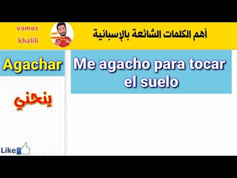 تعلم اللغة الإسبانية تعلم خمس كلمات كل يوم الدرس 23    