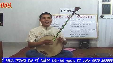 DẠY ĐÀN NGUYỆT p3.1 bai 6 CHO NGƯỜI DỐT CỰC DỐT CƠ BẢN 1