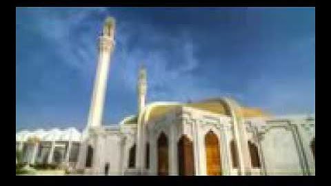 القارئ هاني الرفاعي سورة الملك