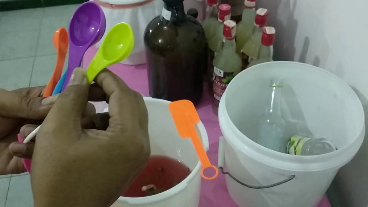 Belajar (lagi) bikin wine anggur merah 