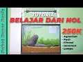 Belajar Aquascape Dari Nol Sampe Jadi (Paket Hemat 4.0)