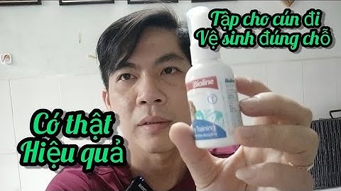 Chai hướng dẫn thú vệ sinh đúng chỗ