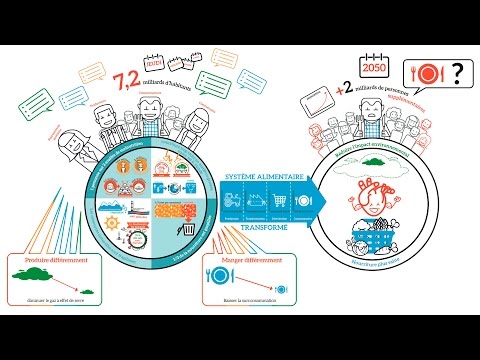 Vidéo: Pourquoi devrions-nous conserver l'énergie ?