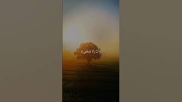 تلاوة خاشعة 🖤🎧 #صلوا_على_النبي_محمدﷺ #غزة #اكتب_شي_تؤجر_عليه #قرآن #راحة_نفسية