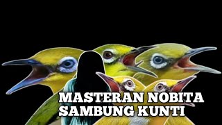 MASTERAN PLECI NOBITA SAMBUNG KUNTILANAK