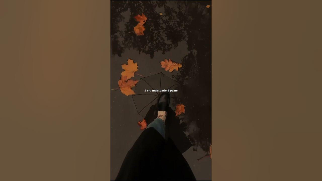 love story - indila | lyrics | aesthtic | whatsapp status | English songs | speed up | slowed#viral love story - indila | lyrics | aesthtic | whatsapp status | English songs | speed up | slowed#viral