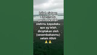 #semoga kita semua ada dlindungan Alloh SWT Aamiin yarob 🤲🙏