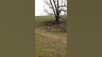 Tannerite White Lightning Rimfire Exploding Targets