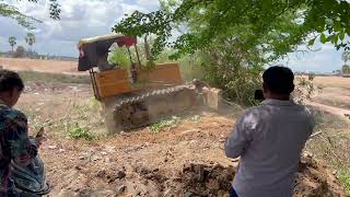 Start New Project Dump Truck Pour Soil and Bulldozer Pushing Tree and Pushing Soil