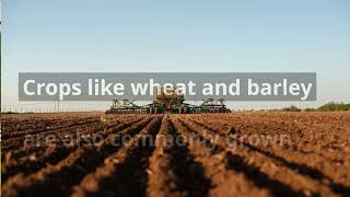 EXTENSIVE AGRICULTURE - GEOGRAPHY DEFINITION