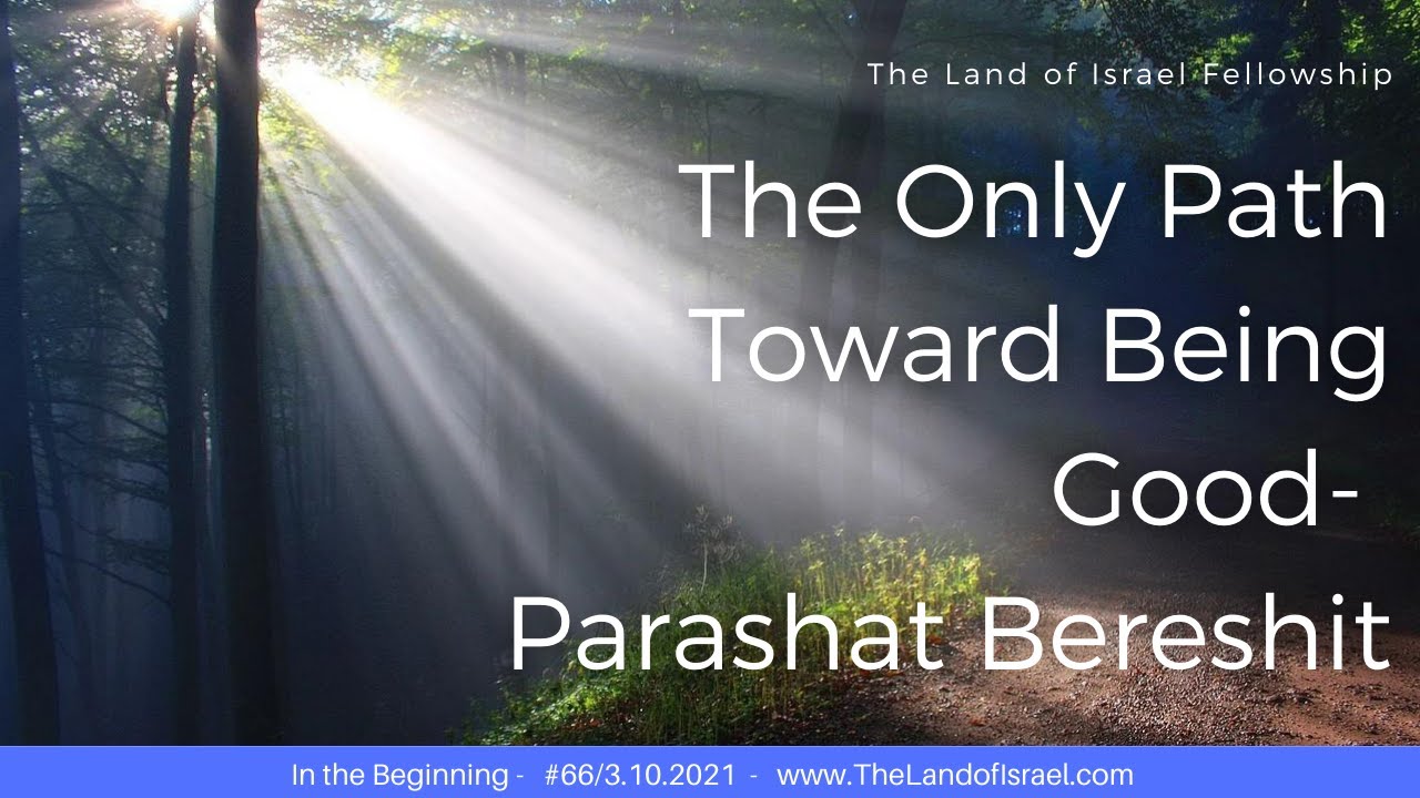 The Only Path Toward Being Good - Parashat Bereshit - Jeremy Gimpel: The Land of Israel Fellowship