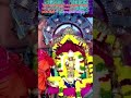 Tirukkalyanam of Arulmigu Subrahmanya Swami, Valli Nayagi and Deva Sena Ambal at Tiruttani today