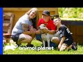 Dog Is Super Happy To Be Adopted By Loving Family | Pit Bulls & Parolees