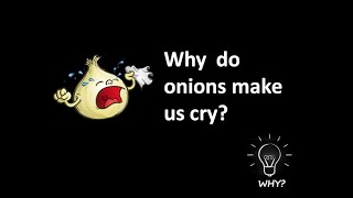 WHY do onions make us cry