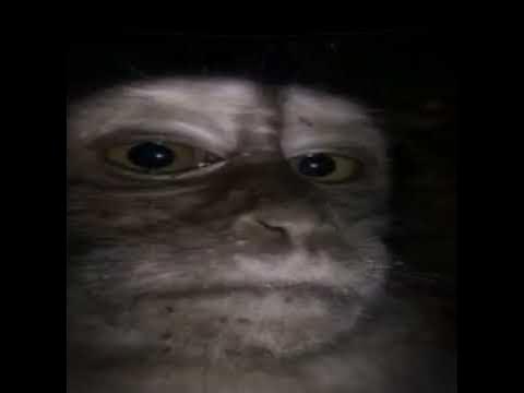 Крутая обезьяна - YouTube