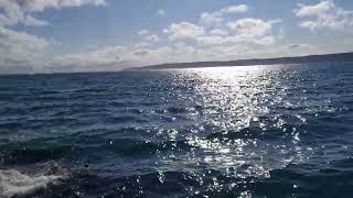 The Greatest Portugal Cove Beach St Johns Nl