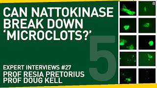 Can Nattokinase Help Break Down 'Microclots'? | With Prof Resia Pretorius \& Prof Doug Kell