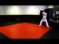 Songahm 2 full form  schafers ata martial arts