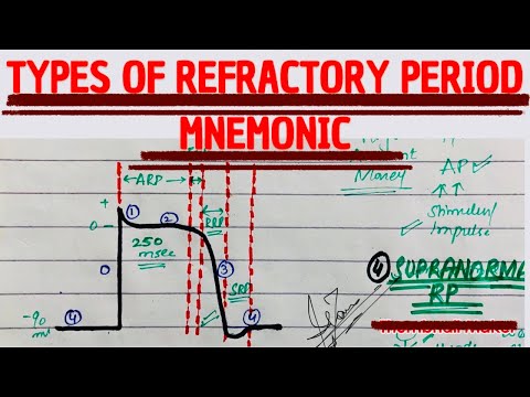 What is refractory