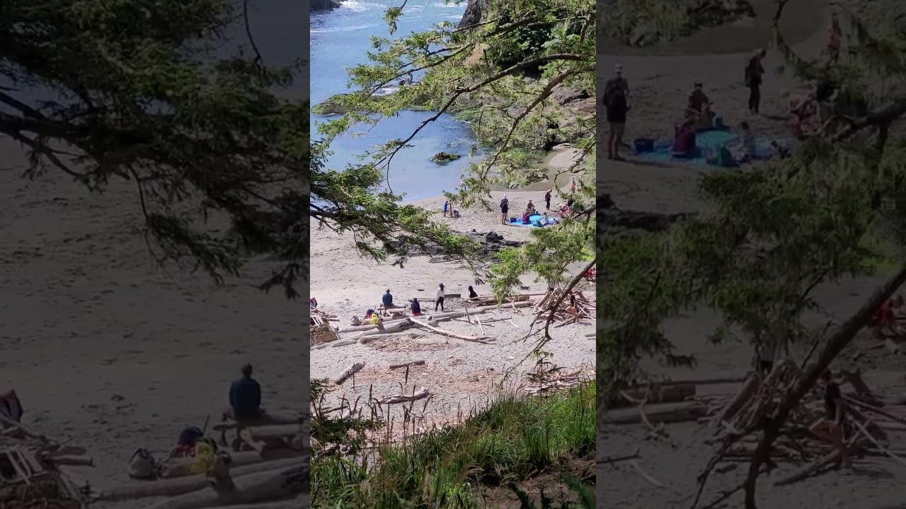 Dead man's cove / pnw