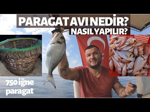 Paragat Balık Avı Nedir ve Nasıl Yapılır? @Fishing Gökova Ozan Anlattı ve Beraber Ava Çıktık