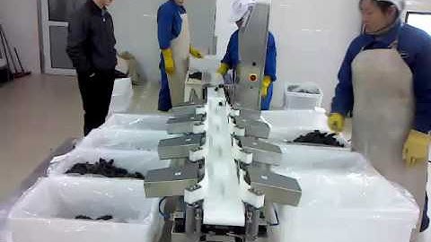 Fanchi Multi-sorting checkweigher