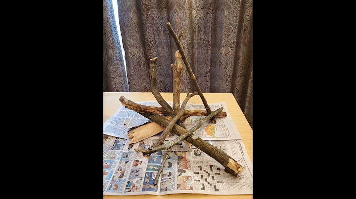 Making a Climbing Toy for Chachi! 🪵 #cute #animals #pets #chipmunk #diy