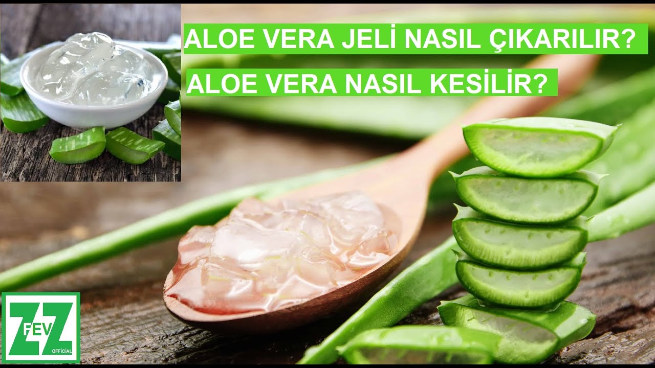 Aloe Vera Jeli Nasl karlr - Nasl Kesilir?