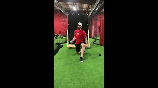 Plyo Ball Series   Reverse Throws
