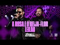 Diego & Arnaldo - A Rosa e o Beija Flor / Leilão - Ao Vivo em São Paulo