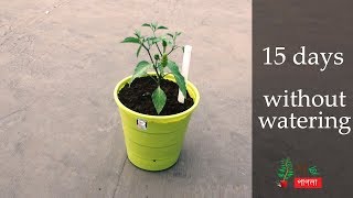 How to make self watering container