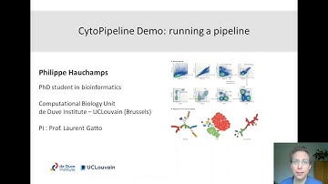 CytoPipeline: how to run a flow cytometry data pre-processing pipeline?