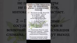 7 признаков о "неполадках" в организме  #здоровье #здоровьежкт #пищеварение #помощь