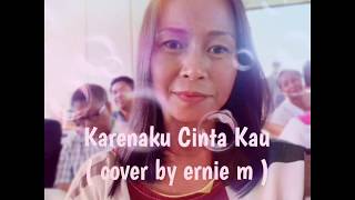 Download Lagu Karenaku Cinta Kau MP3