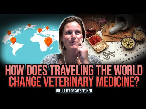 Dr. Juliet Decaestecker: Integrative Vet Medicine & Pet Wellness | Gussy’s Gut