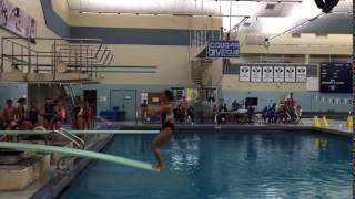 Shaunmei Lim 5231d 1 meter