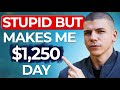 Stupidly Lazy $400/Hour Method For Beginners To Make Money Online (2022)