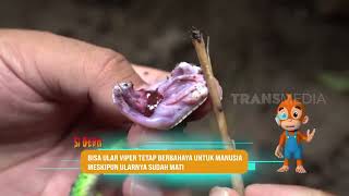 Meni sikish suratlar