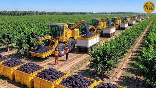 Inside the 2026 Global Agriculture Industry — Millions of Tons of Produce Rolling Off the Fields
