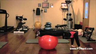 Wheelbarrow - Personal Training Exercise of the Day