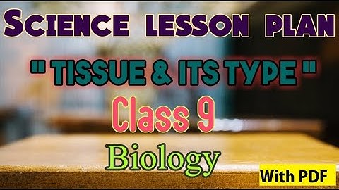 Science lessonplan |lessonplan on tissues| bio lessonplan| lesson plan in english |B.Ed lessonplan|
