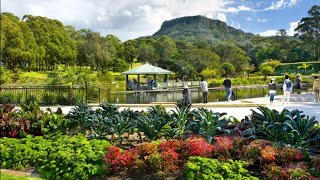 جولة في حديقة الزهور سدني استراليا   الي   ميشوف الجمال خسران Wollongong Botanic Garden