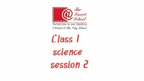 Class:1 (Session: 2)Science | | The Smart School