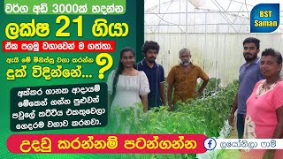 මාළුමිරිස් වගාව,,pollytanal,layonila Farm, greenhouse