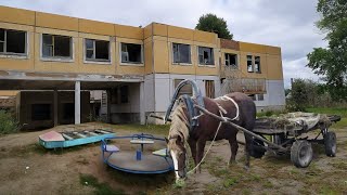 Это Надо Видеть! В Детский Сад Рф Возят Воду Конями / Дновости