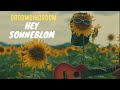 Hey Sonneblom - Droomsindroom (Official Music Video)