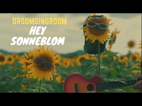 Hey Sonneblom - Droomsindroom (Official Music Video)