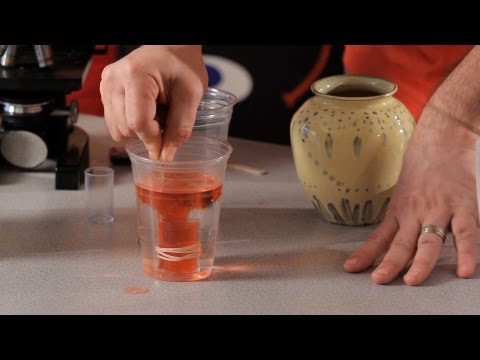 How to Make an Underwater Volcano | Science Projects