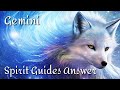 ♊️Gemini ~ Urgent Messages From Your Spirit Guides For Right Now!