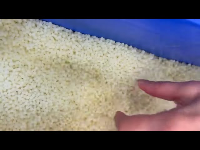 My GRANDMA tries ASMR - body triggers plastic balls squeezing/squishing, full body pat down